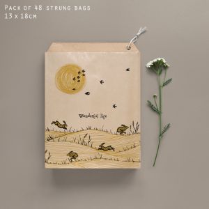 Σακουλάκια 13x18 (48) - Wonderful life