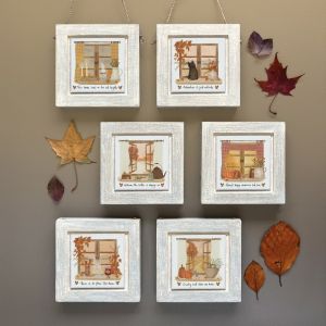 Sq window pic-Country road take me home