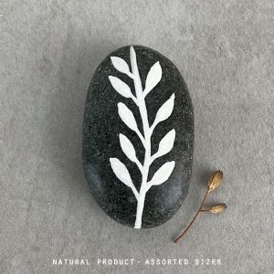 Βότσαλο γκρι - Stem with leaves