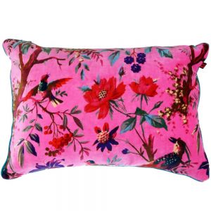 Cotton velvet Cushion 35 x 50cm Cotton velvet Cushion 35 x 50cm