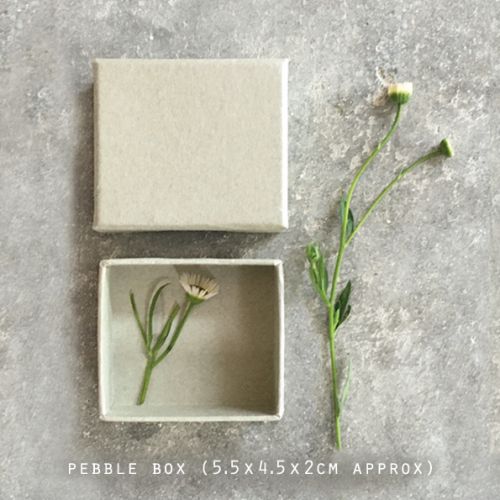 Κουτί για πορσ. Βότσαλα 5,5x2,9x4,8εκ.