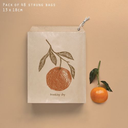 Σακουλάκια 13x18 (48)-Sunshiny day