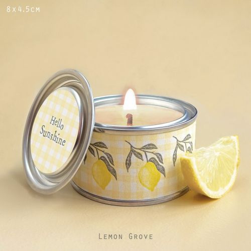 Fruit candle-Hello sunshine