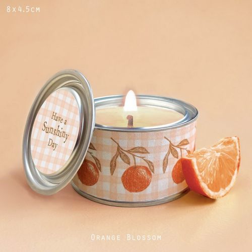 Fruit candle-Have a sunshiny day