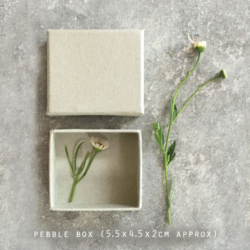 Recycled pebble/Token box