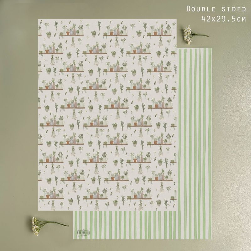Χαρτί μικρό 29x42εκ.-Green house