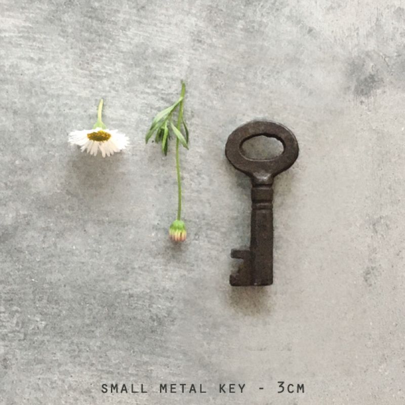 Vintage rusty metal key-Small