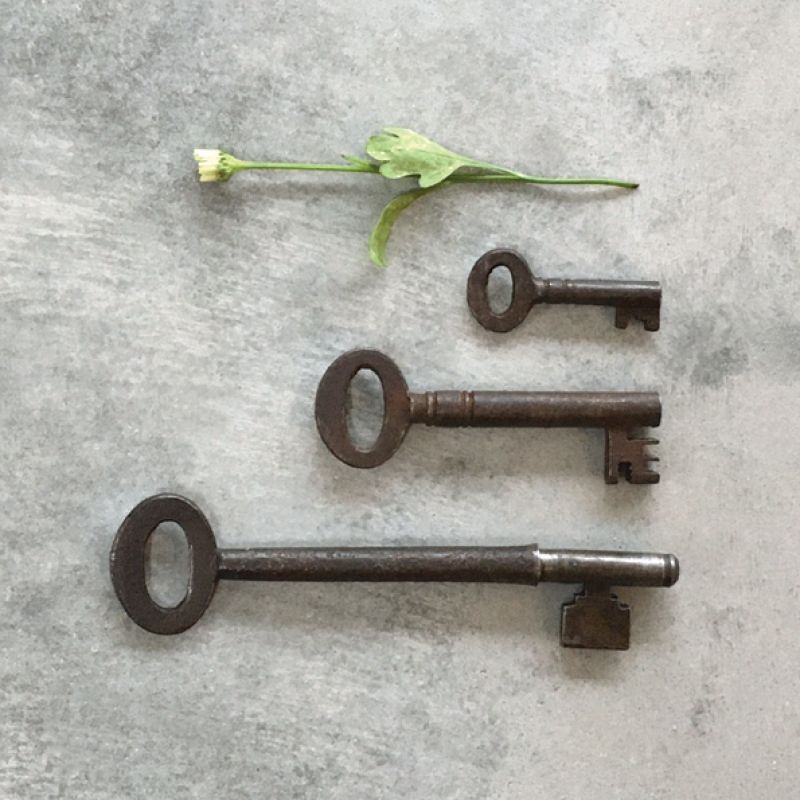 Vintage rusty metal key-Medium