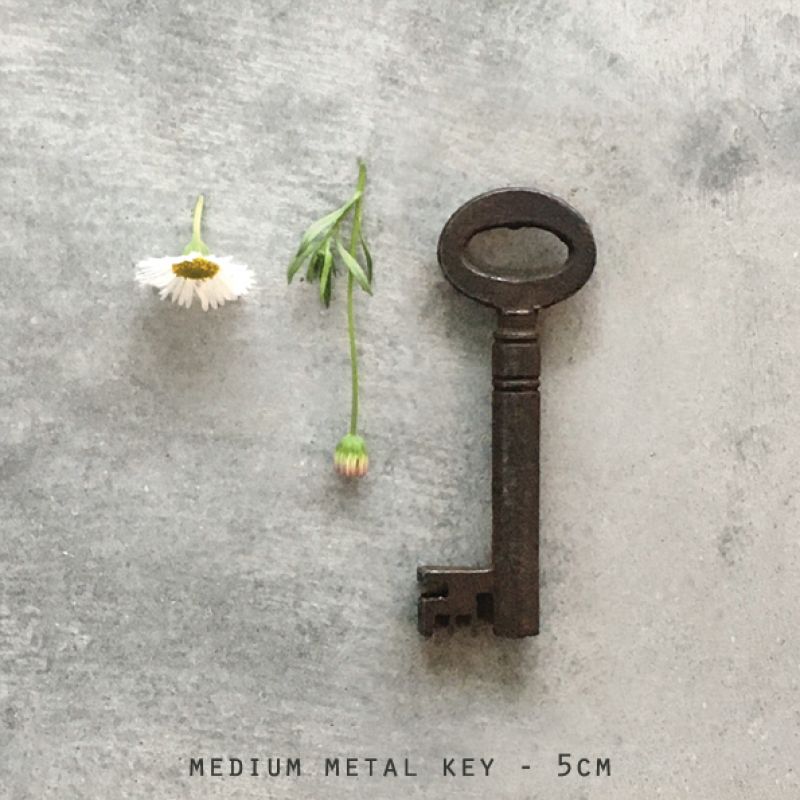 Vintage rusty metal key-Medium