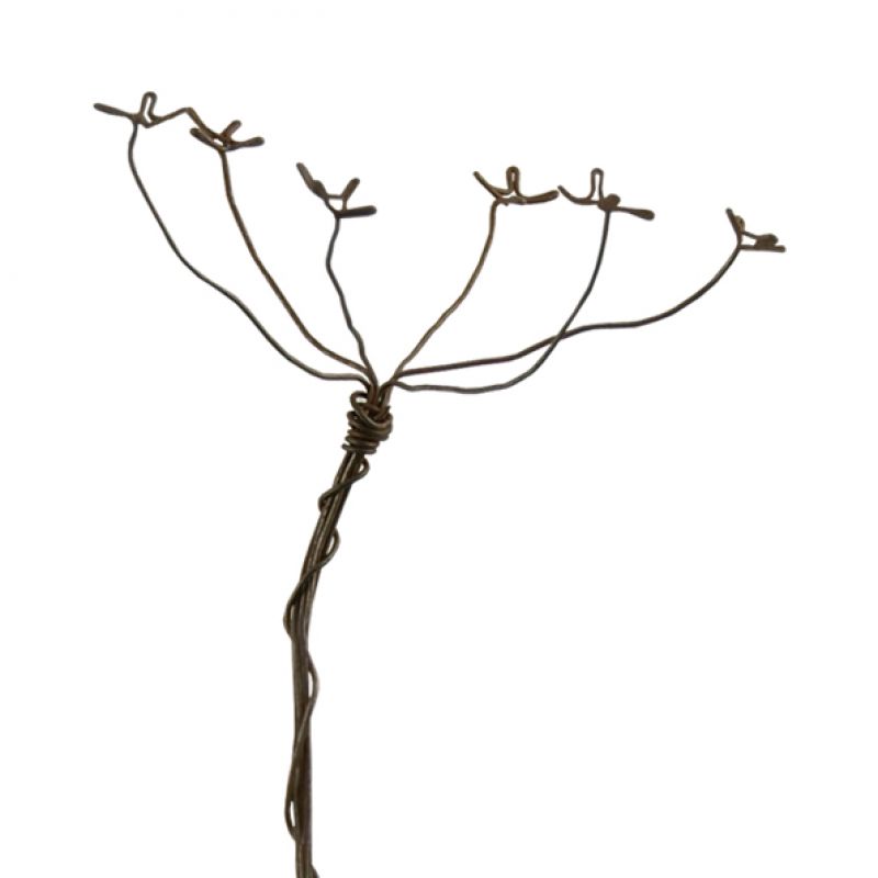 Rusty wire sprig-Sml Cow parsley