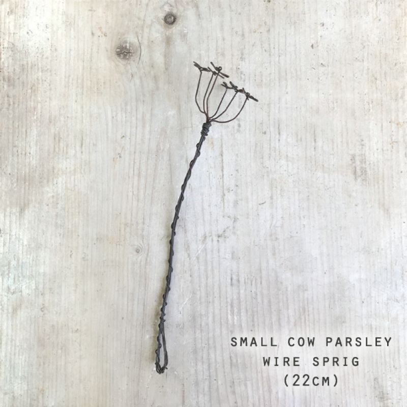 Rusty wire sprig-Sml Cow parsley