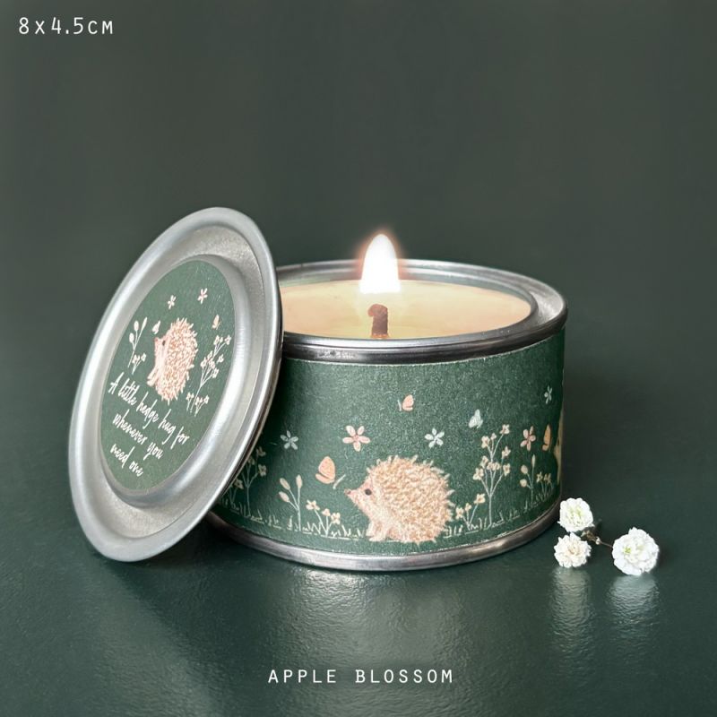 Meadow candle-Hedgehog