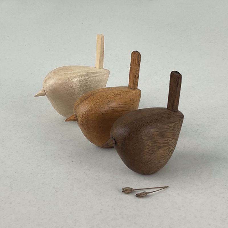 Wren-Black wood