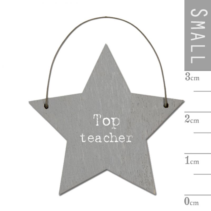 Little star - Top teacher