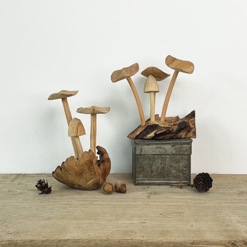 Mushrooms-Driftwood base
