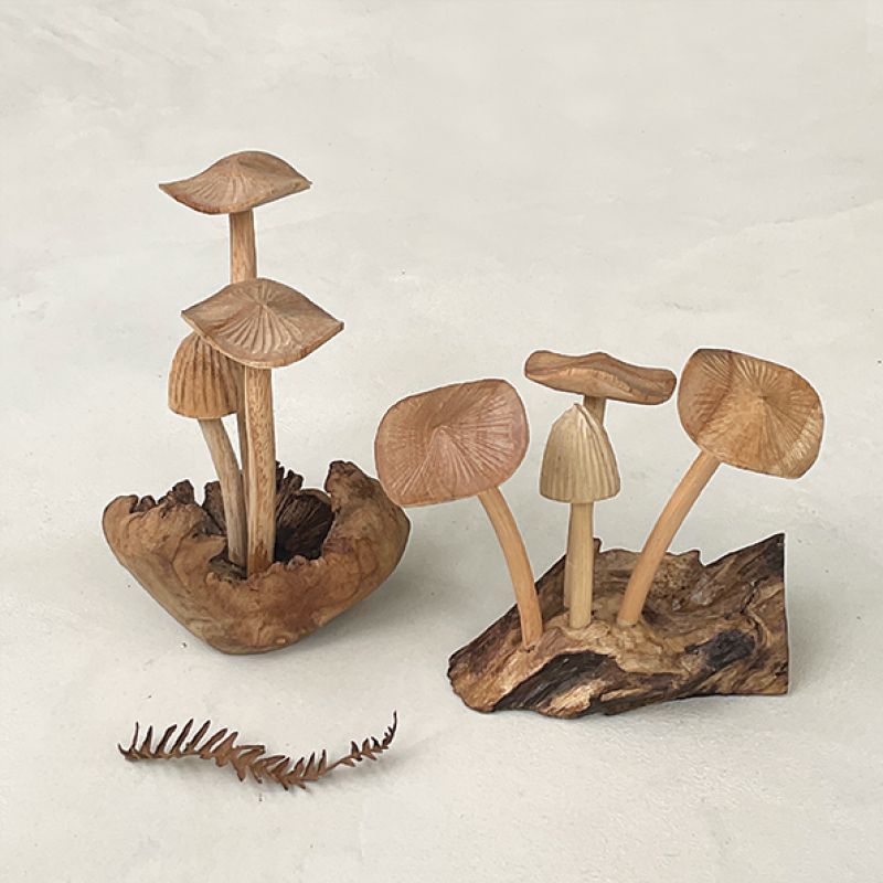 Mushrooms-Driftwood base