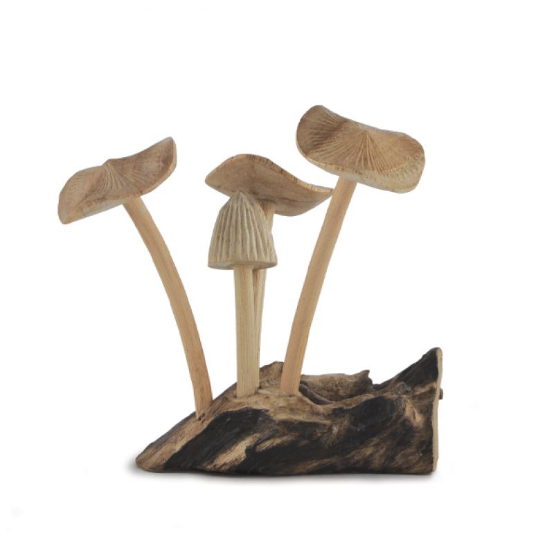 Mushrooms-Driftwood base