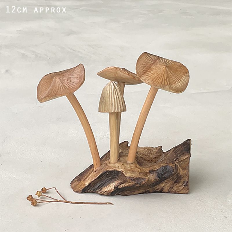 Mushrooms-Driftwood base