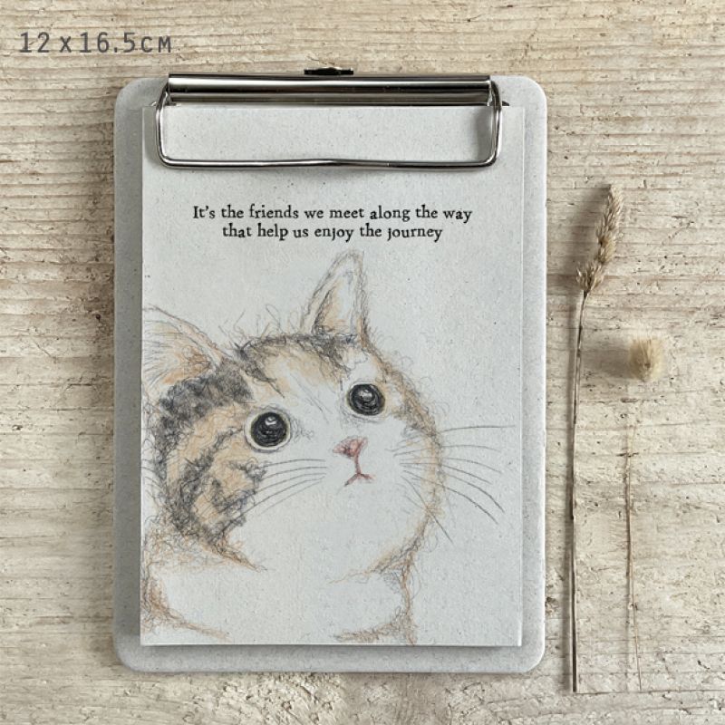 Cat hanging pad-Friends we meet along