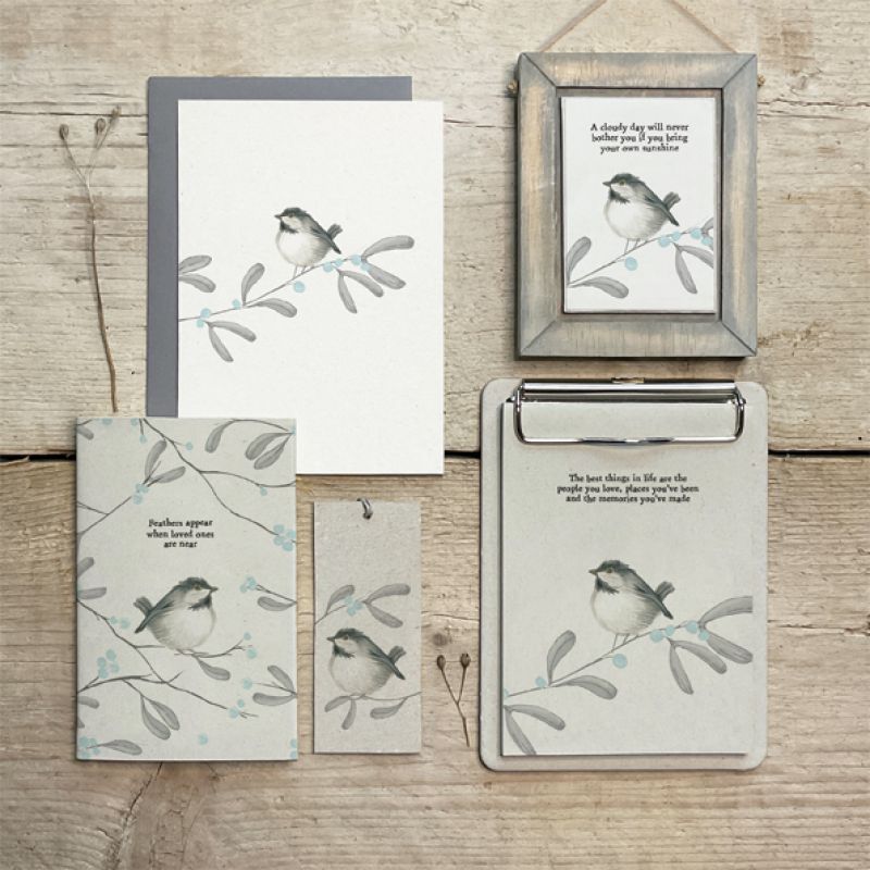 Small bird note book-Feathers appear-Coal tit
