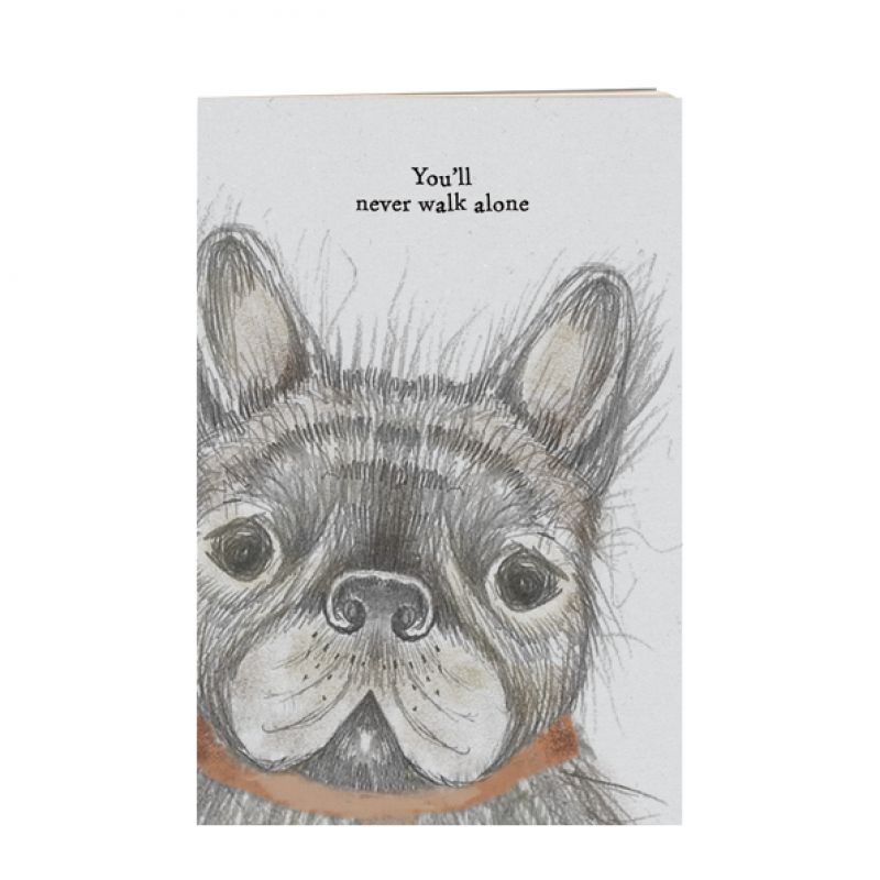 Small dog book-You'll never walk alone