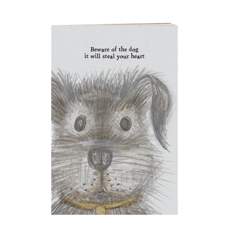 Small dog book-Beware of the dog