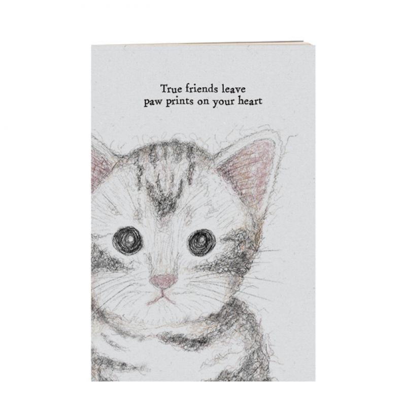 Small cat book-True friends