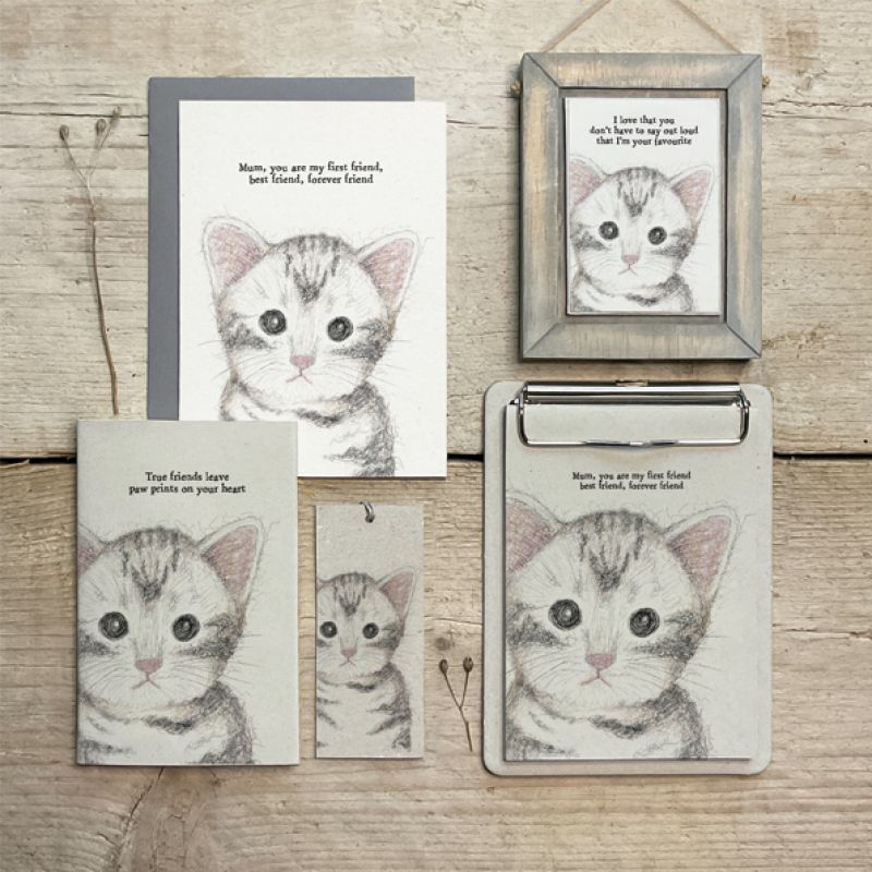 Small cat book-True friends