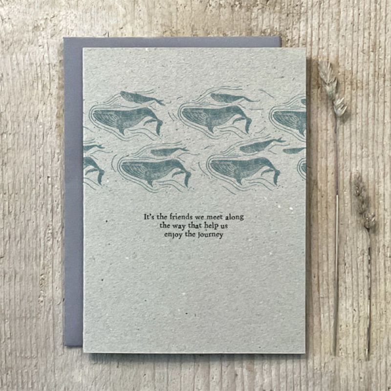 Block card-Whales