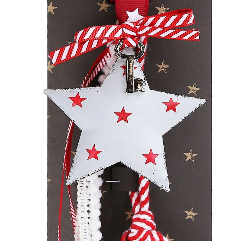 Lucky charm - Hanger star metal