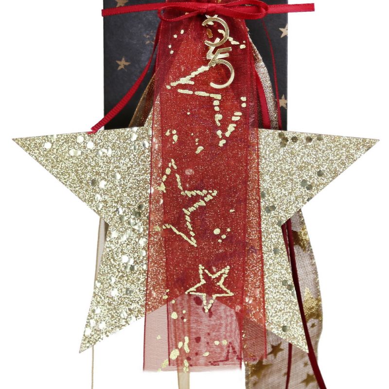 Lucky charm - wooden star hanger