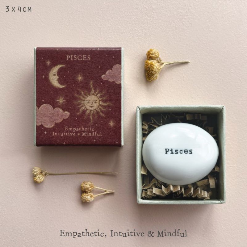 Βότσαλο σε κουτί 5,5εκ.-Ιχθύς