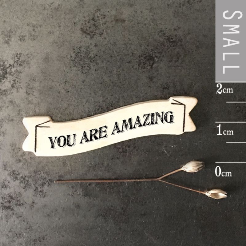 Ribbon word magnet - You are amazing