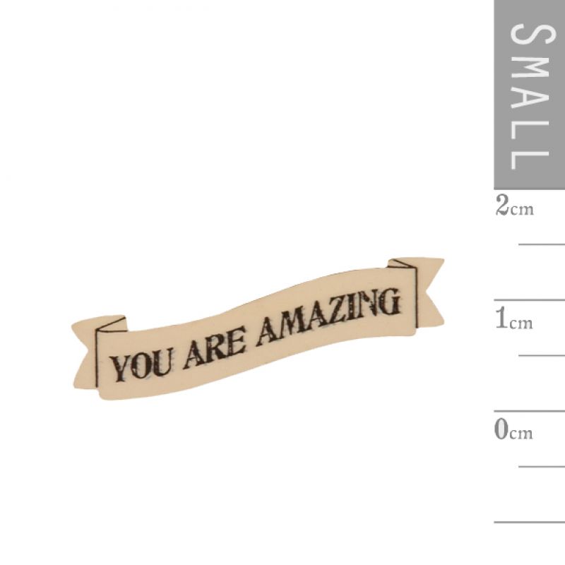 Ribbon word magnet - You are amazing