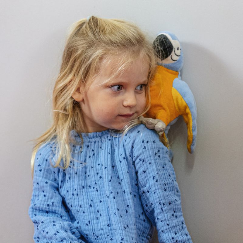 Boris the Blue Parrot 