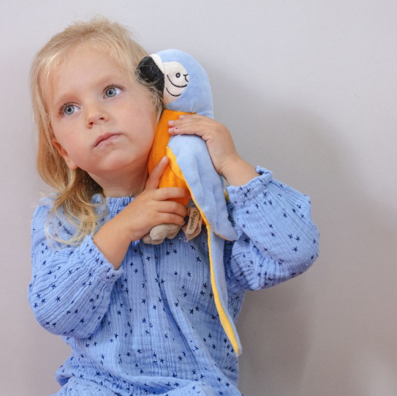 Boris the Blue Parrot 