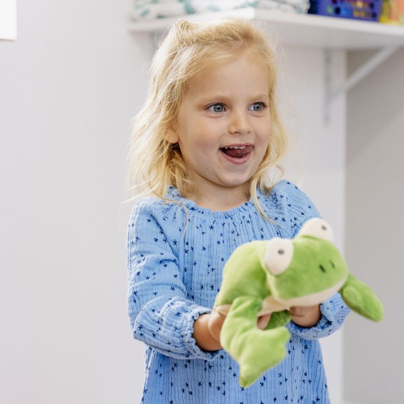 Organic soft toy - floppy frog