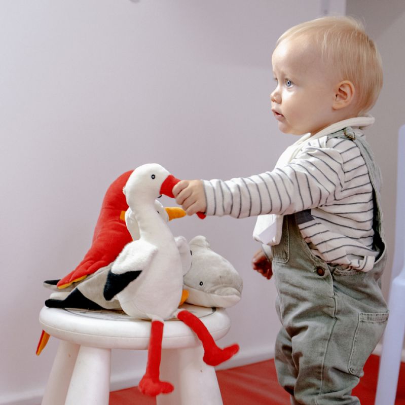 Sophie the White Stork