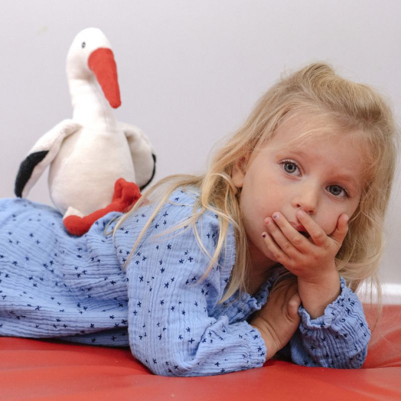 Sophie the White Stork