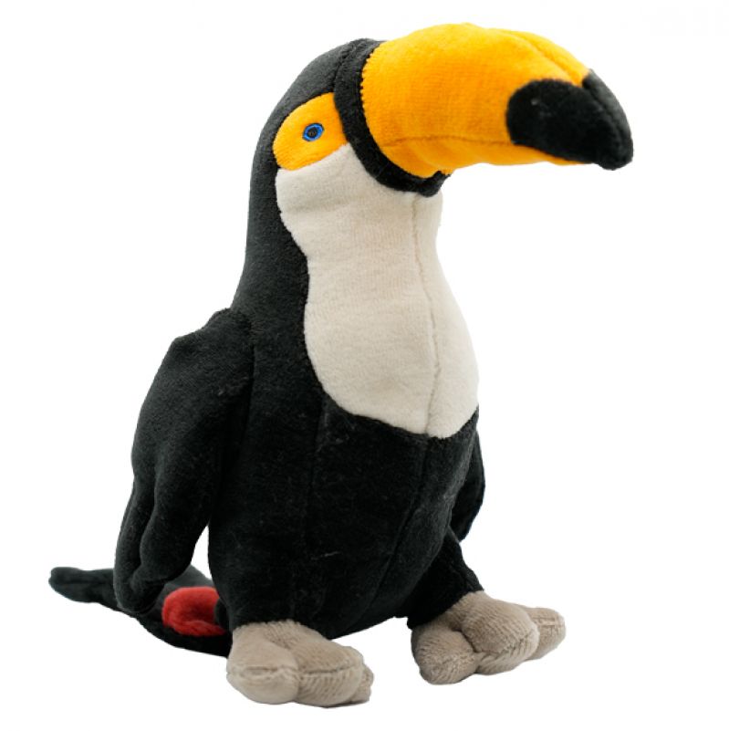Toto the Toucan Bird