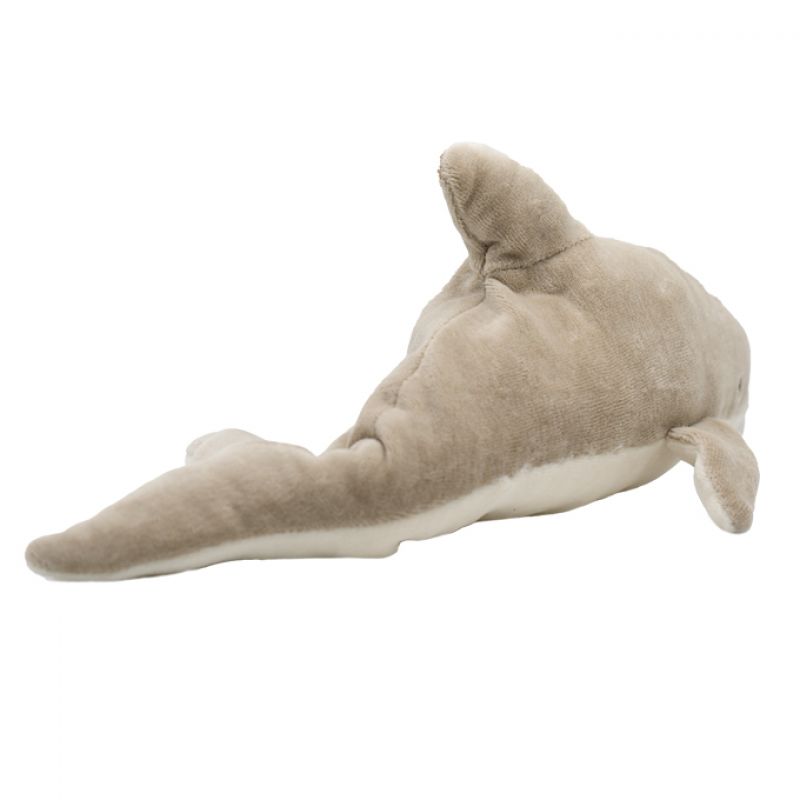 Daphne the Dolphin