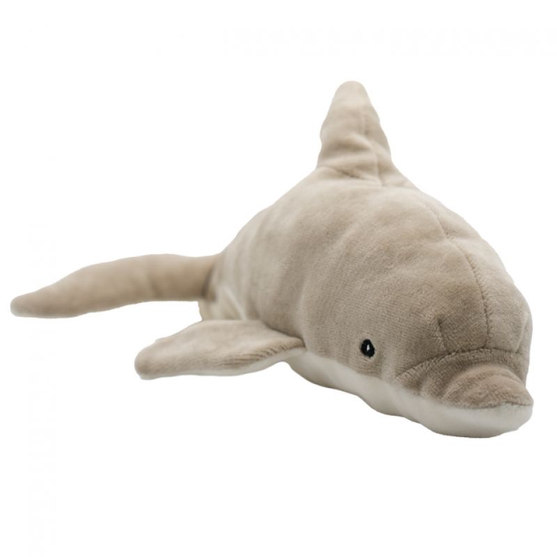 Daphne the Dolphin