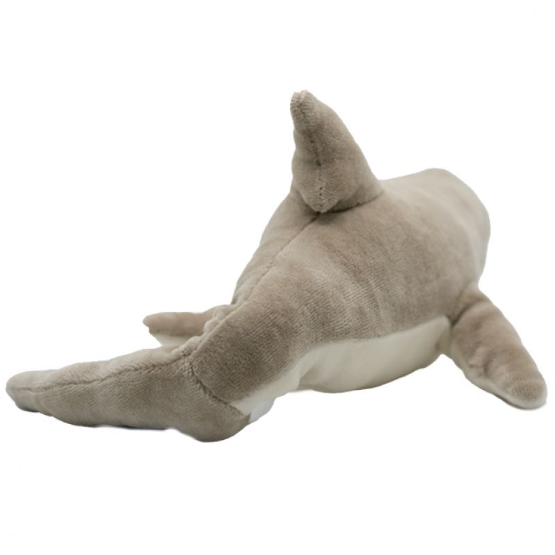 Sophie the Shark
