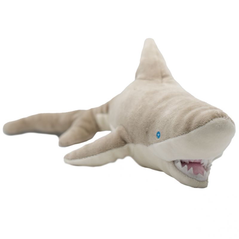 Sophie the Shark