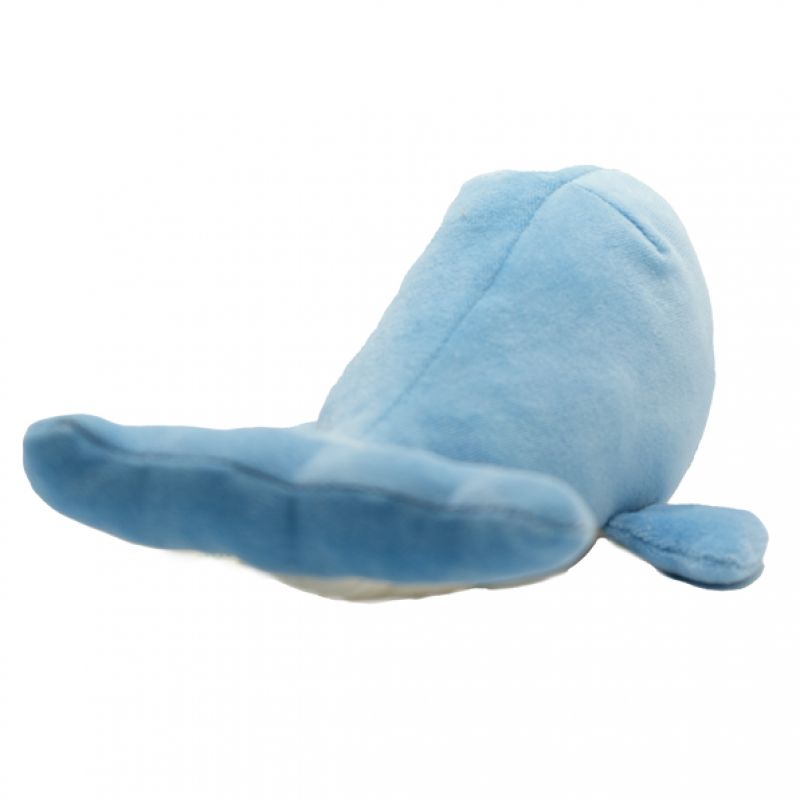 Willa the Whale