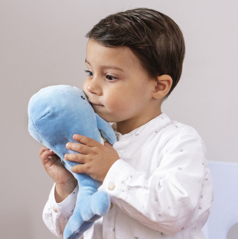 Willa the Whale
