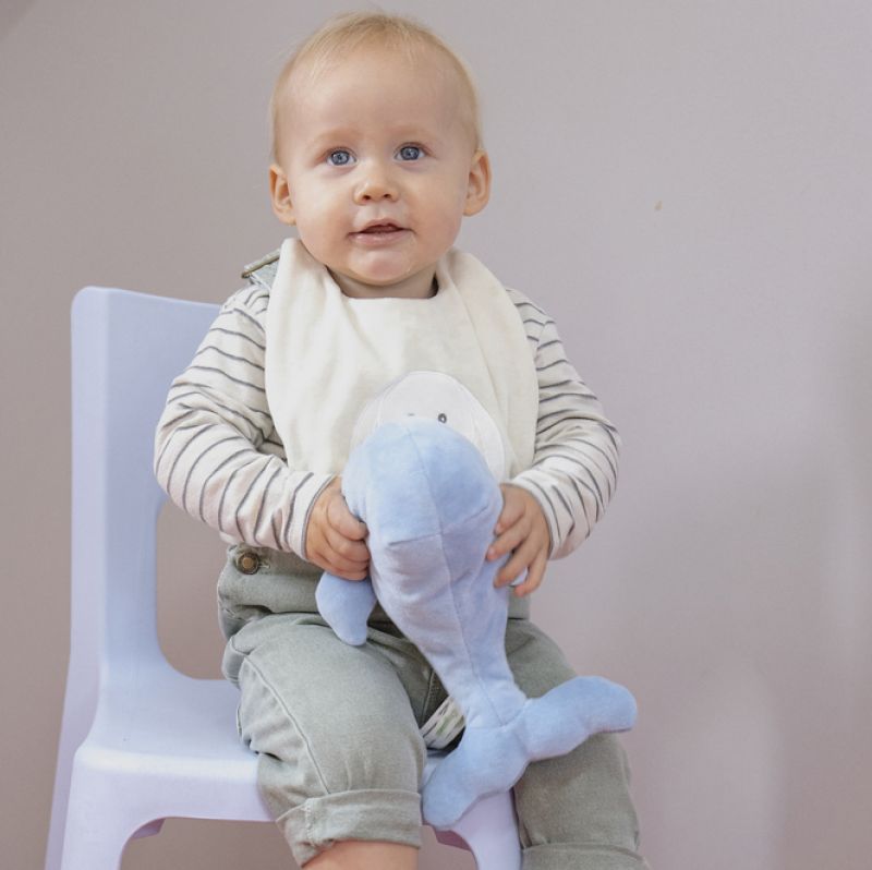 Willa the Whale