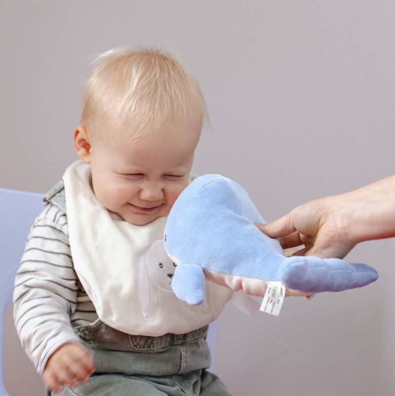 Willa the Whale