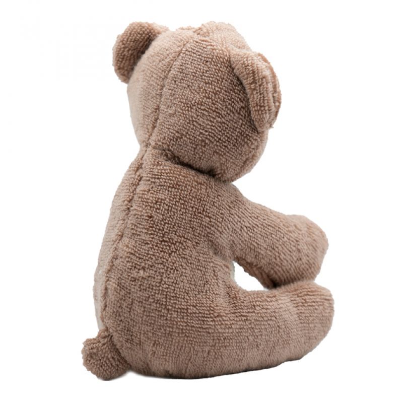 Buddy the Bear