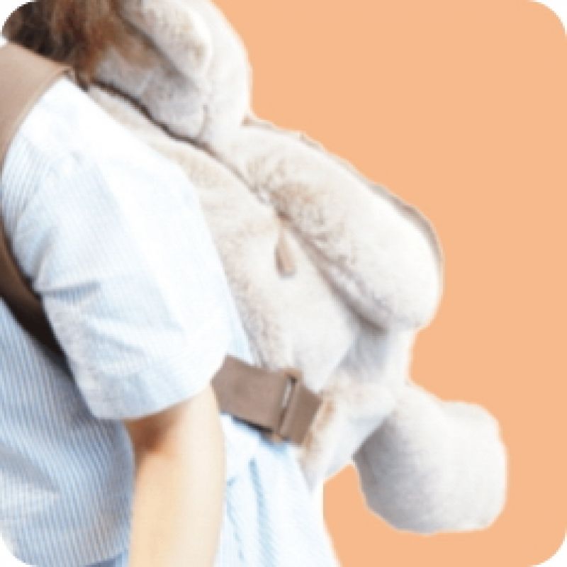 Dog backpack